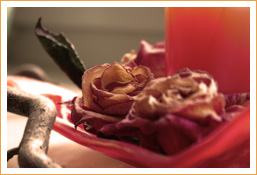 rose